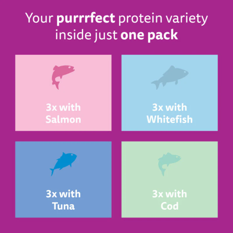 Whiskas Senior 7+ Fish Favourites in Jelly Cat Food 85g x 48 - Image 4
